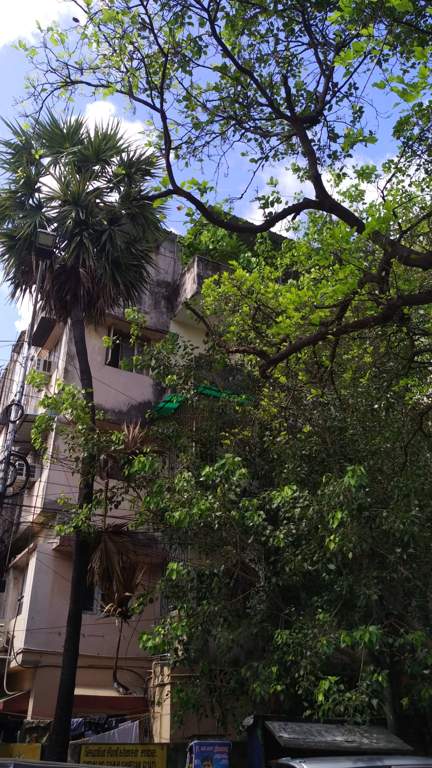  apartments Elevation