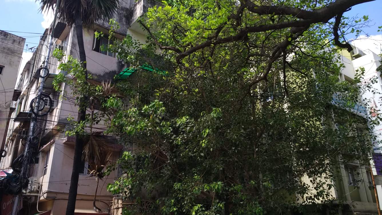  apartments Elevation