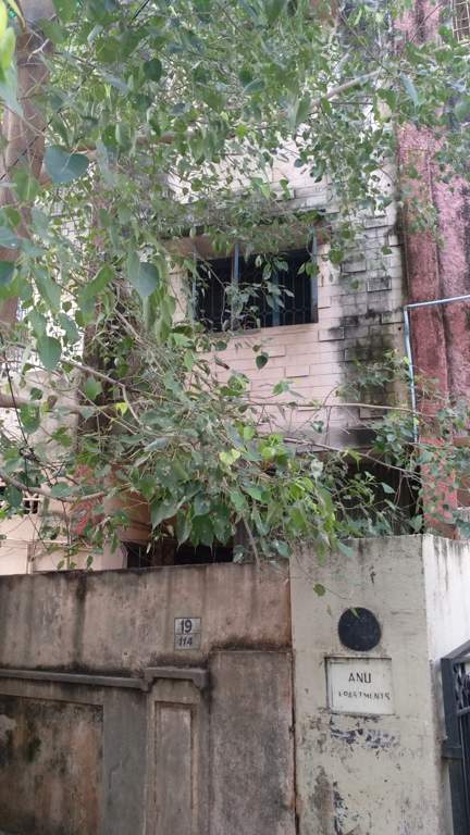  apartments Elevation