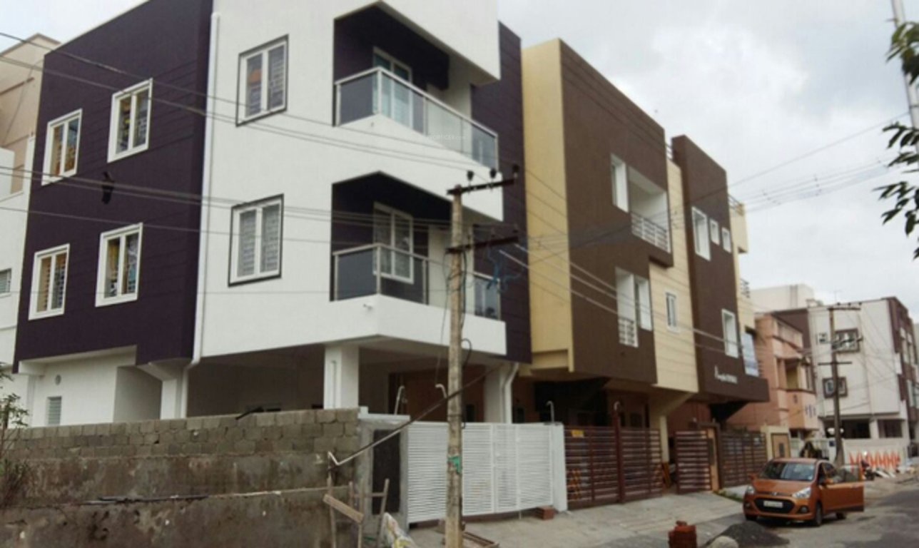 Images for Elevation of Ample Daffodil