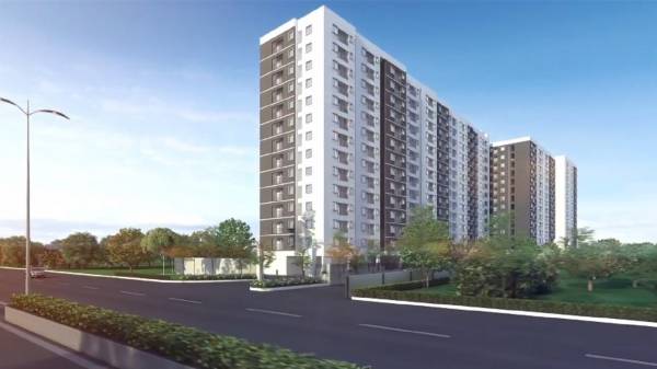  jasmine-springs Elevation