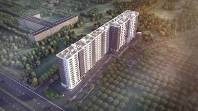  jasmine-springs Elevation