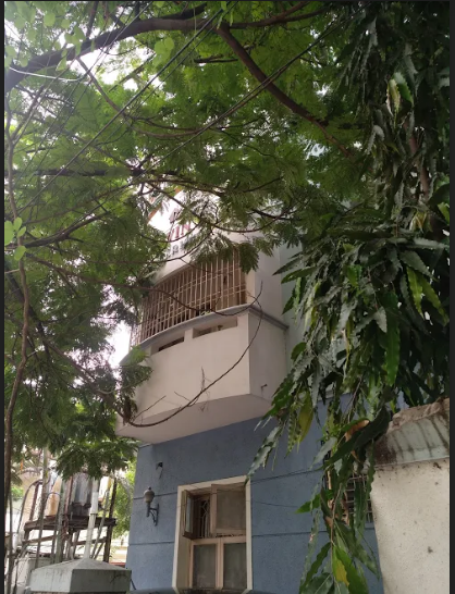  navins balakrishna Elevation