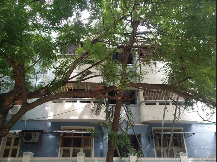  navins balakrishna Elevation