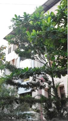  meenakshi Images for Elevation of Lancor Holdings Meenakshi