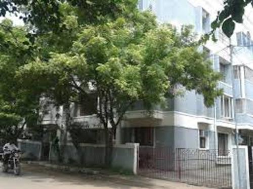  bloom Images for Elevation of Golden Bloom