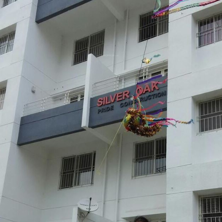 silver oak Elevation