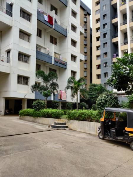 Elevation silver-oak Elevation