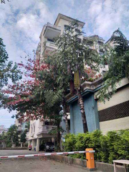  garden-grove Elevation