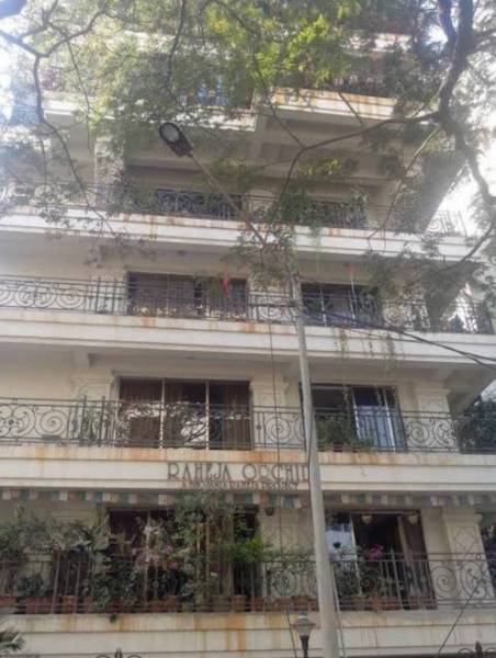 Elevation orchid Elevation