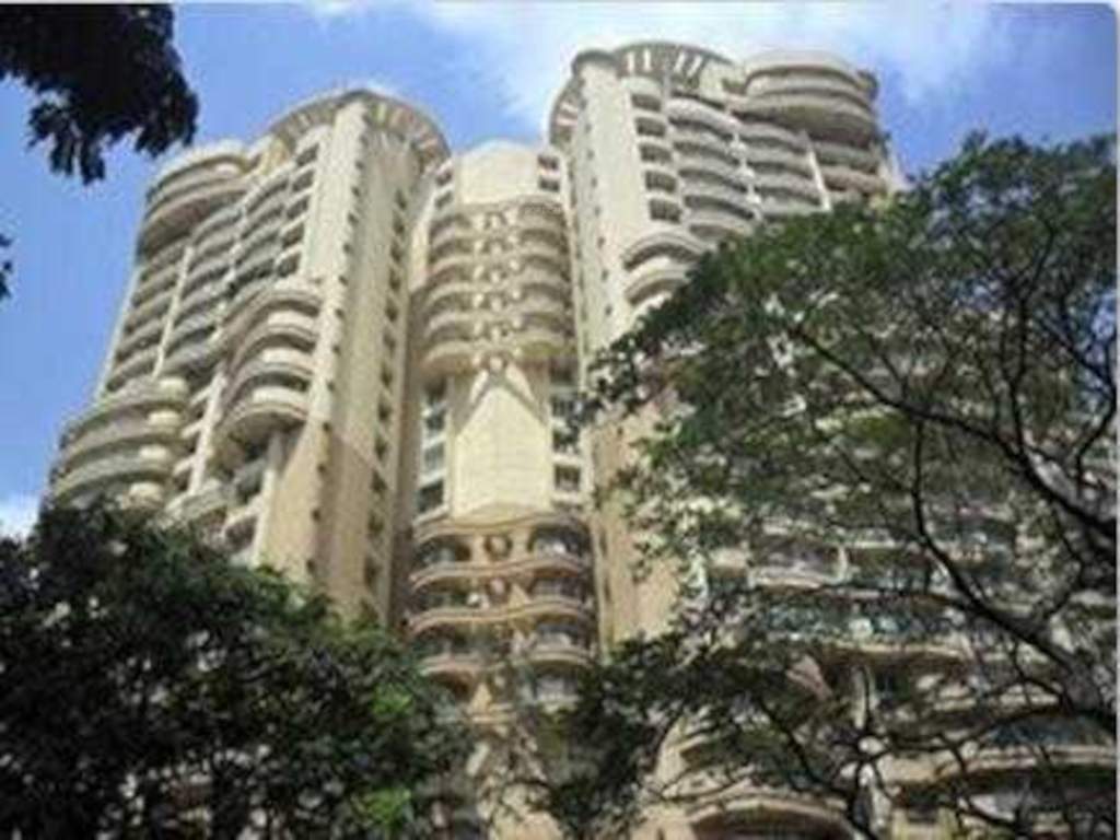  arum and amanda Elevation