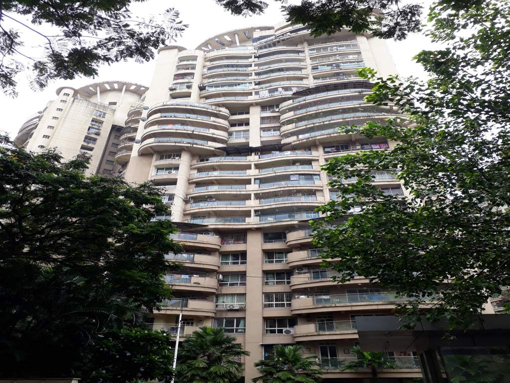  arum and amanda Elevation