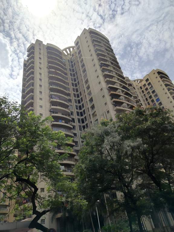  arum and amanda Images for Project