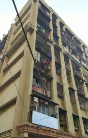 Elevation society Elevation