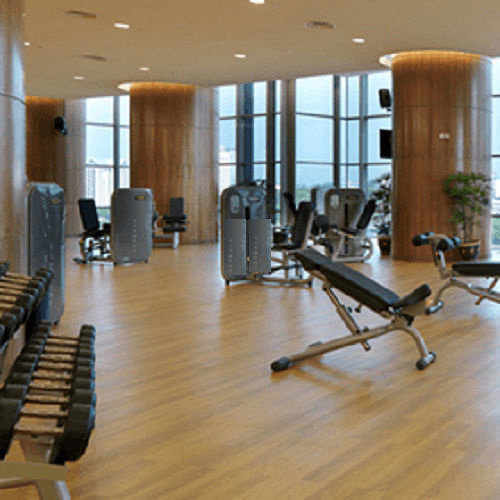  five-garden Gymnasium