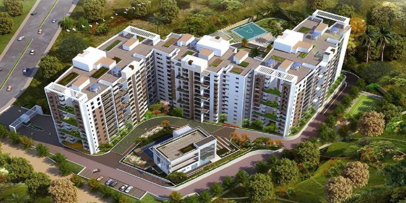 Elevation sattva clarinet Elevation