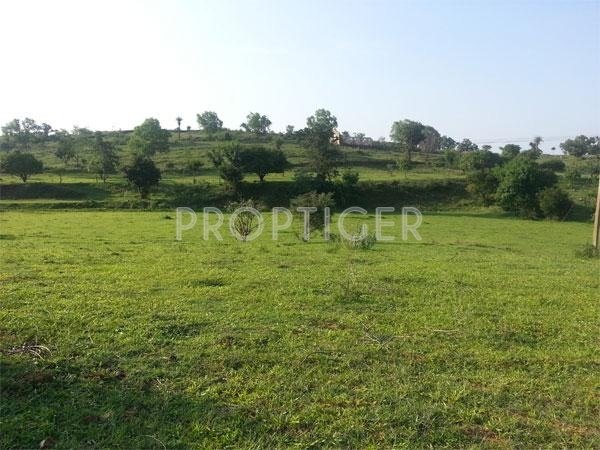 Images for Elevation of Greater Farm Casa