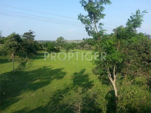 Images for Elevation of Greater Farm Casa Images for Elevation of Greater Farm Casa