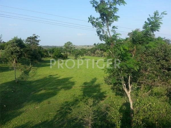 Images for Elevation of Greater Farm Casa