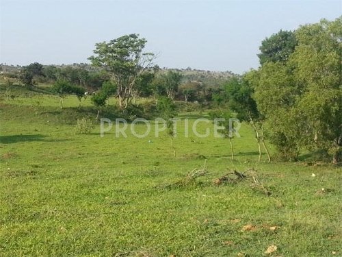 Images for Elevation of Greater Farm Casa Images for Elevation of Greater Farm Casa