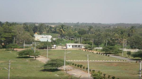  urban-habitat Elevation