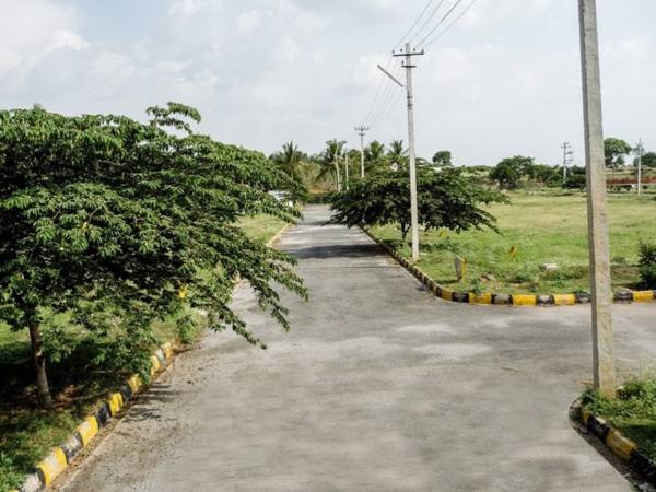 Internal Roads urban-habitat Internal Roads