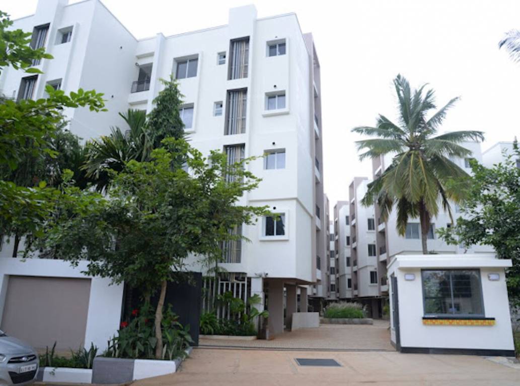 Elevation windfall Elevation