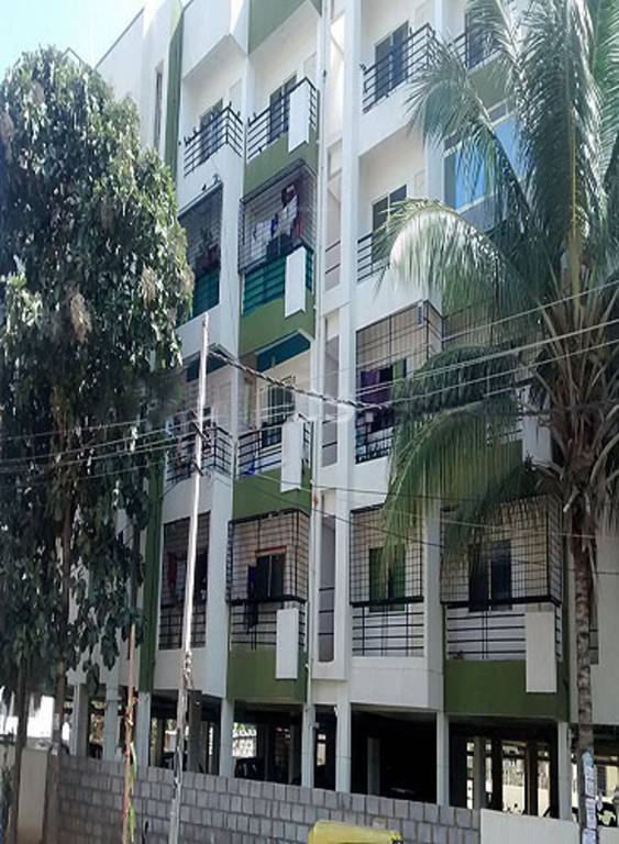 Images for Elevation of SSVR Lupine