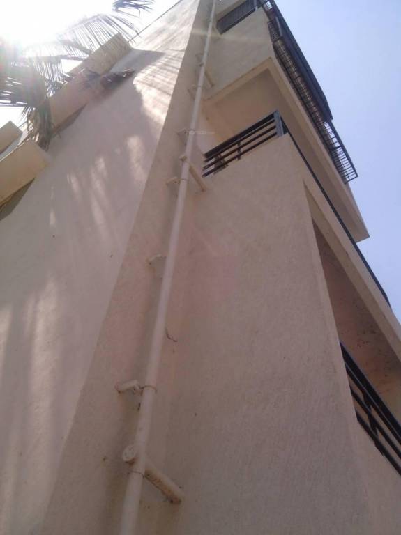 Images for Elevation of SSVR Lupine