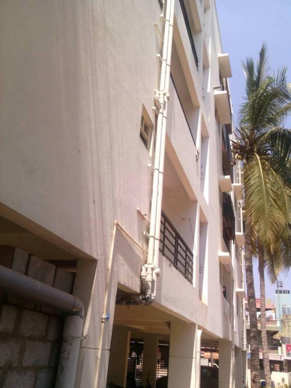 Images for Elevation of SSVR Lupine