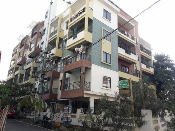 Elevation meadow Elevation