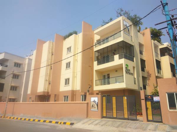 Elevation avg-palm-terraces Elevation