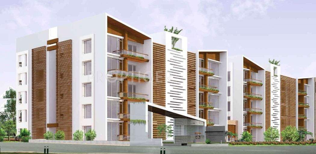  roldana Images for Elevation of Lotus Lotus Roldana