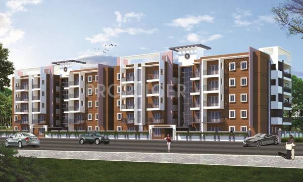 Aesthetic Constructions Oakwood oakwood Aesthetic Constructions Oakwood