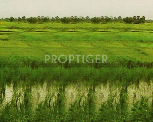 Images for Elevation of Mega Mega Earth