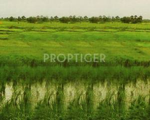 Project Image Project Image