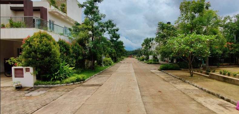  gardens of delight Elevation