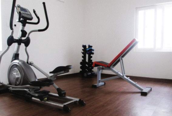  gardens of delight Gymnasium