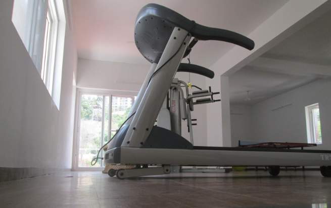  gardens of delight Gymnasium