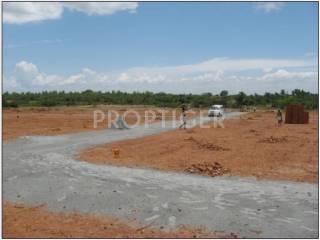 Project Image Project Image