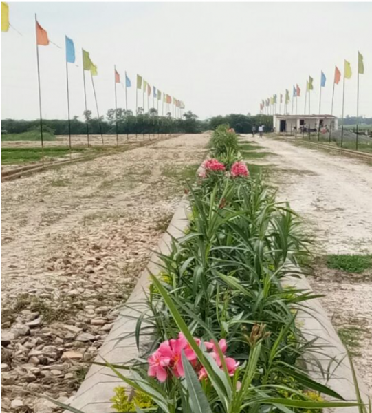  estate-phase-3 Elevation