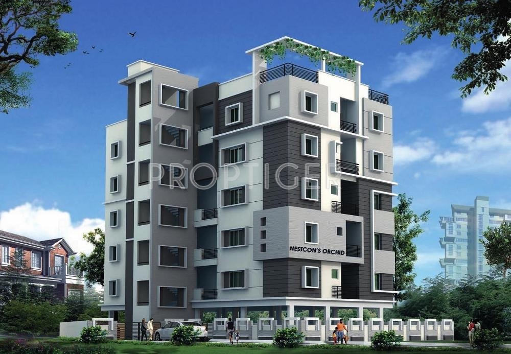 Images for Elevation of Nestcon Orchid Images for Elevation of Nestcon Orchid