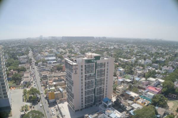  sepal-elegant-2 Elevation