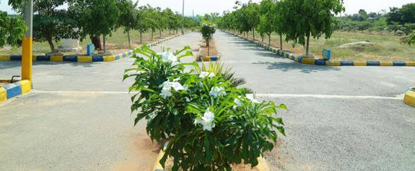 Images for Elevation of Young Sai Enclave