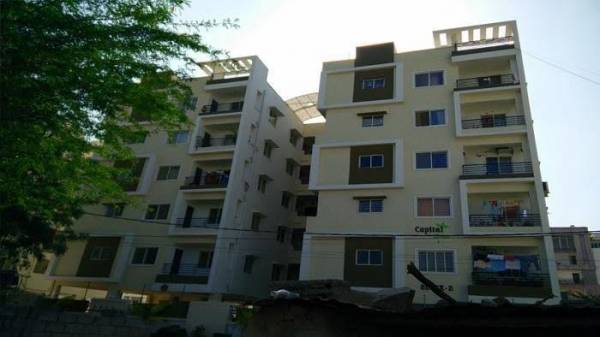  capital-green Elevation