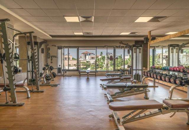  the botanika Gymnasium