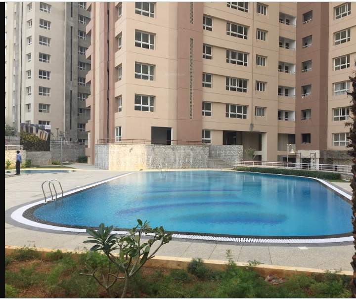  the botanika Swimming Pool