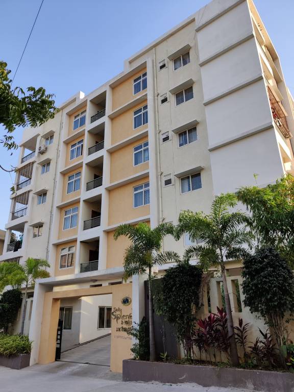 rishis sais splendid Elevation