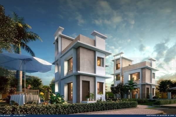 Elevation spring-meadows Elevation