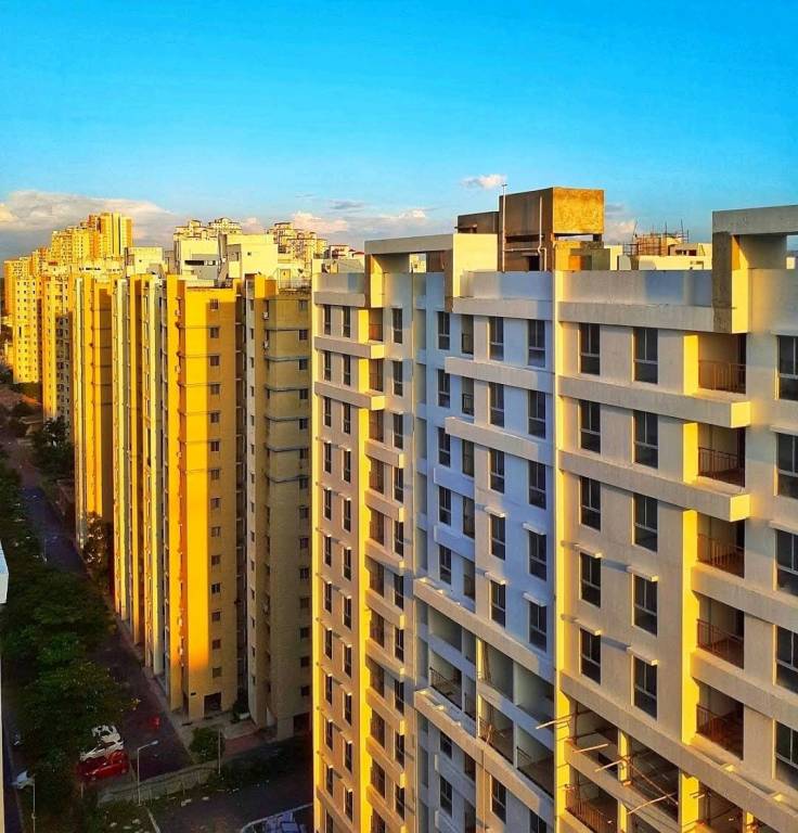 codename home next Elevation